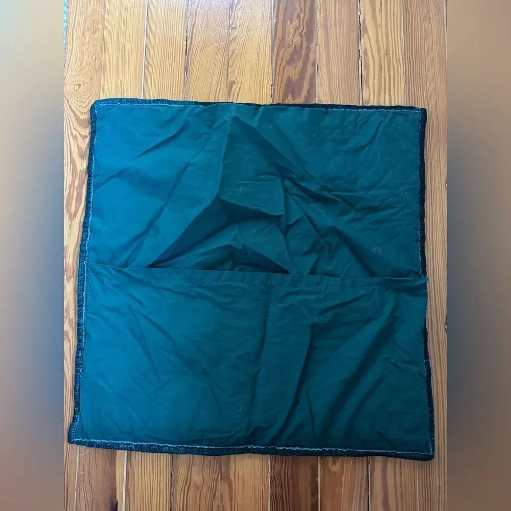 West Elm Pillowsham